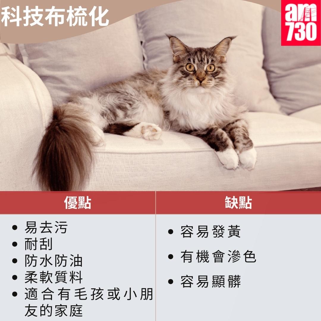 布梳化/真皮梳化/科技布梳化優缺點比較|科技布梳化優點和缺點(資料來源︰裝修佬)