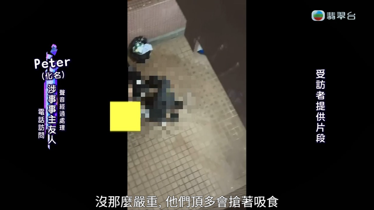 梁敏巧跟自稱認識事件其中兩位的友人Peter(化名)做電話訪問。