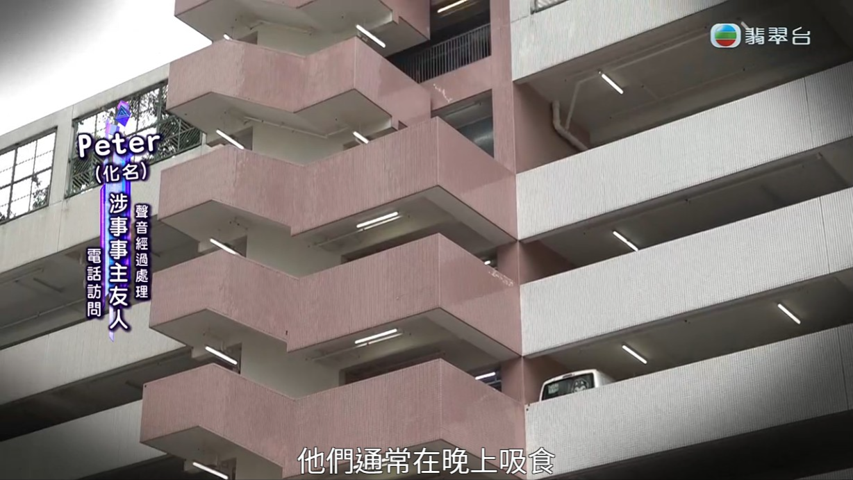 梁敏巧跟自稱認識事件其中兩位的友人Peter(化名)做電話訪問。