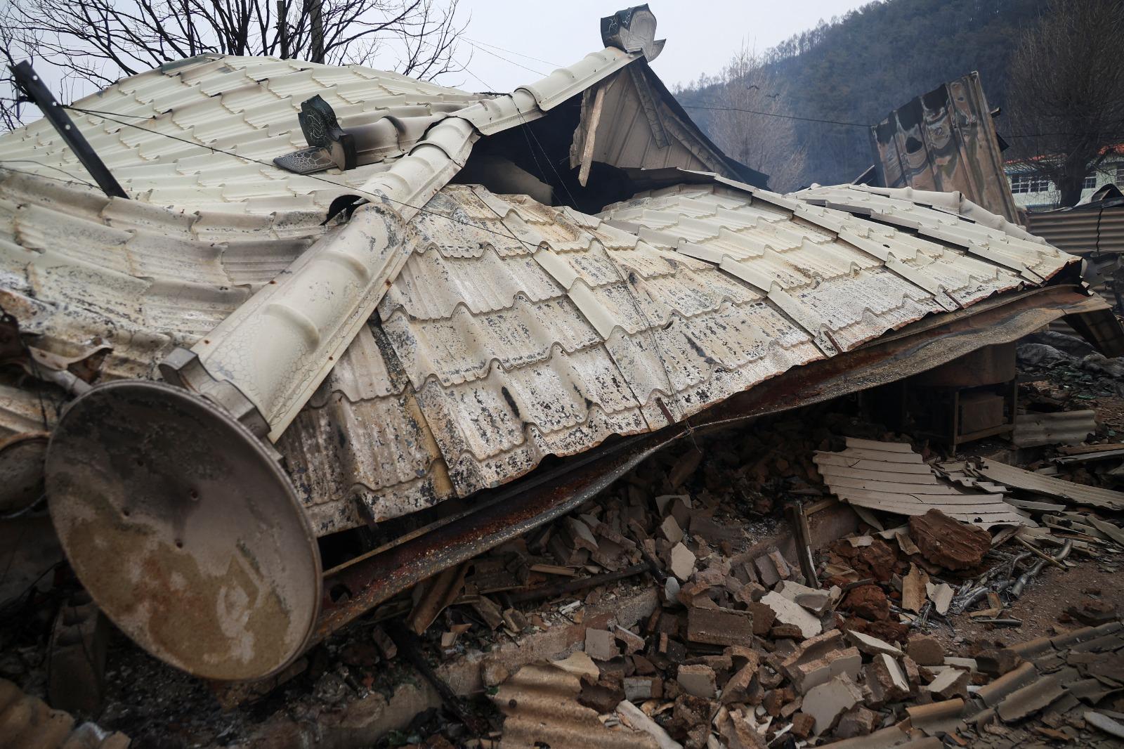 南韓山火受災面積已達4萬8150公頃。(美聯社)