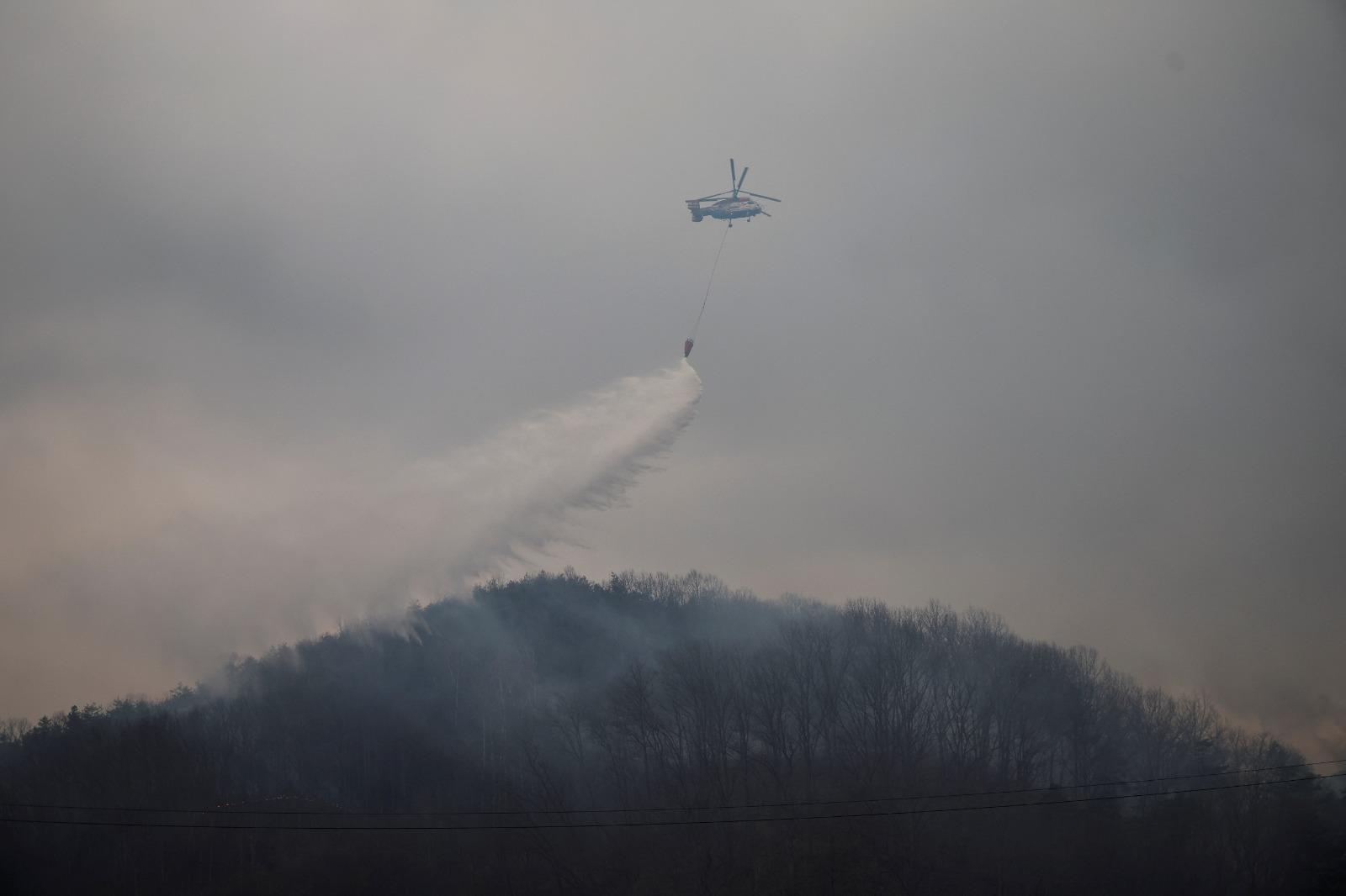 南韓山火受災面積已達4萬8150公頃。(美聯社)