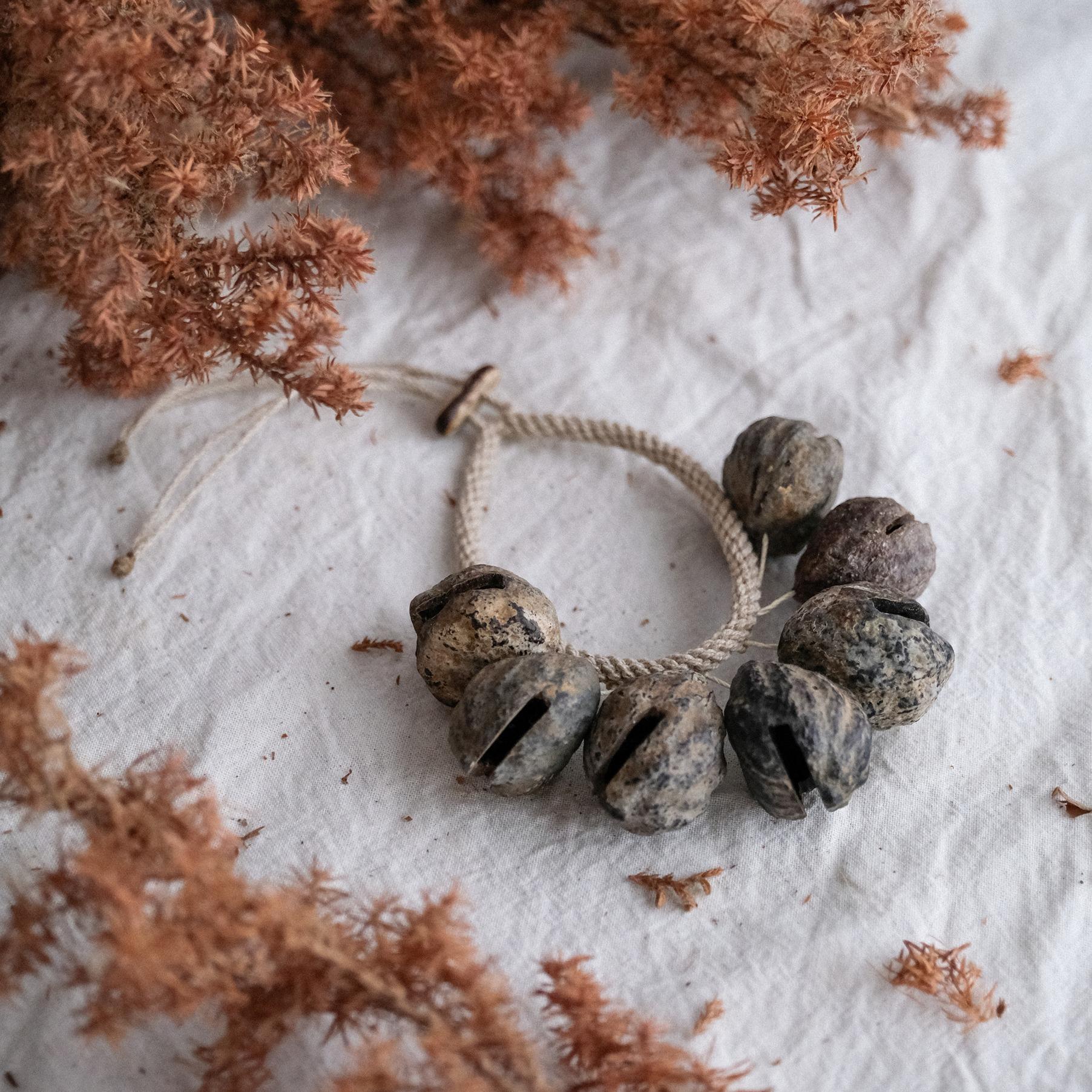 Yuenmuk 緣木種子