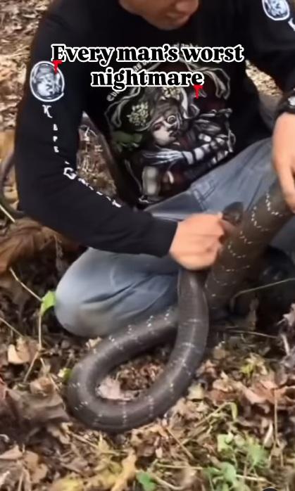 男子被蛇咬住褲襠左邊位置不放,自己捉著蛇頭。(互聯網)