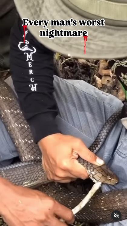 淋水後,巨蛇鬆一鬆口,友人褪出樹枝。(互聯網)