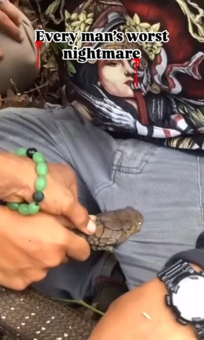 友人幫手捉著蛇頭。(互聯網)