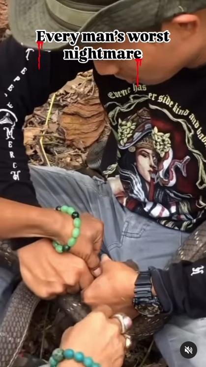 友人幫手捉著蛇頭。(互聯網)