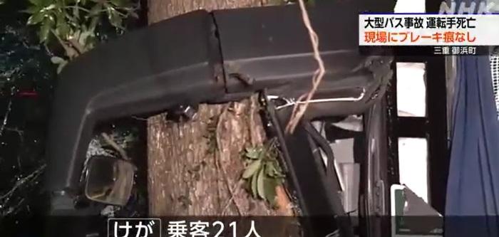 巴士猛烈撞樹,車頭嚴重損毀。(互聯網)