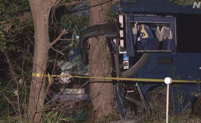 巴士猛烈撞樹,車頭嚴重損毀。(互聯網)