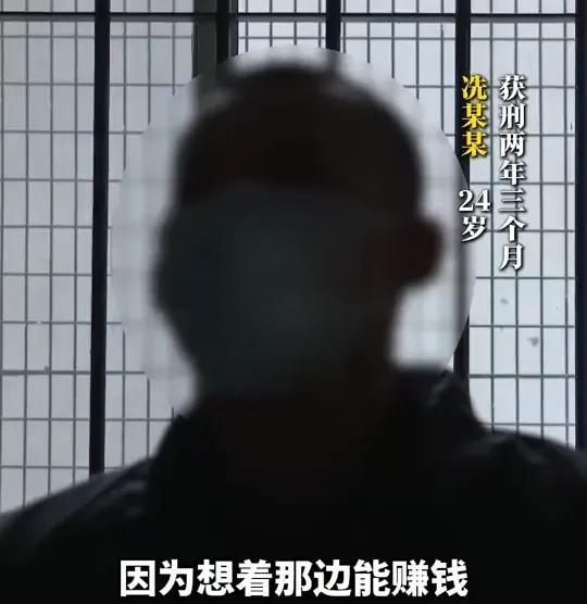 冼姓男子24歲,因想賺錢被騙到緬甸詐騙園區。