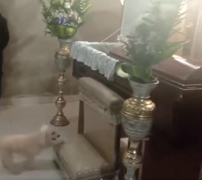 又走上跪墊。(互聯網)