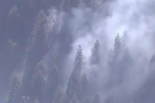 圖為山梨縣山火情況。(互聯網)