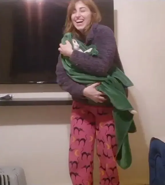 獸醫Hamieh救出貓貓,目前貓貓正在等待被領養。(TikTok)