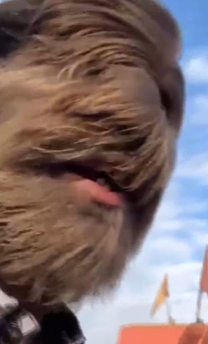 帕蒂達爾在IG上傳影片,分享創下健力士世界紀錄的感受。(互聯網)