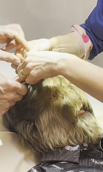 帕蒂達爾在IG上傳影片,分享創下健力士世界紀錄的感受。(互聯網)