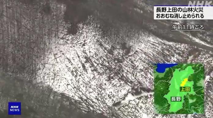 長野縣上田積雪的山區起火。(互聯網)