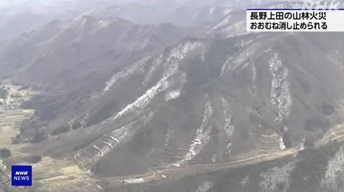長野縣上田積雪的山區起火。(互聯網)