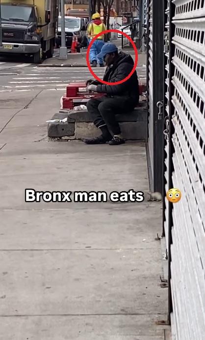 口含鼠肉或內臟,未有吞下。(互聯網)