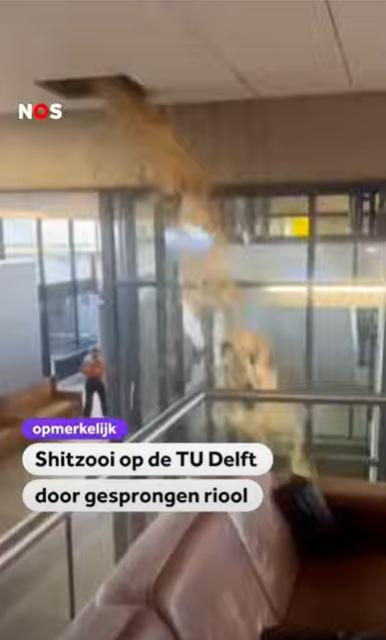 大量糞水從天花板不停瀉下。(互聯網)