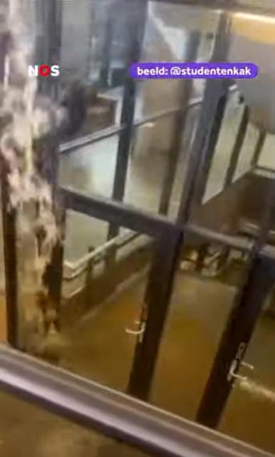 糞水如瀑布。(互聯網)