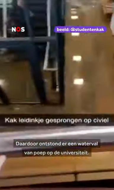 地面積滿糞水。(互聯網)