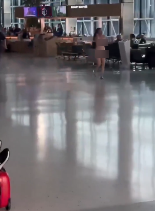 女子帕爾瑪(Samantha Palma)自稱「維納斯女神」、「迪士尼公主」,在達拉斯機場一處登機口附近,突然脫光衣服,四處裸奔,根據網路流傳畫面顯示,她到處亂跑亂跳,一會兒跳起來拍打航班電子螢幕、一會兒又拿起礦泉水向空中潑水。