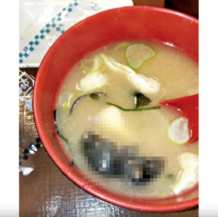 有網民在Google評論版留言,聲稱1月底在鳥取SUKIYA分店用餐時,在味噌湯中發現死老鼠,事隔2個月,SUKIYA才就事件致歉。(互聯網)