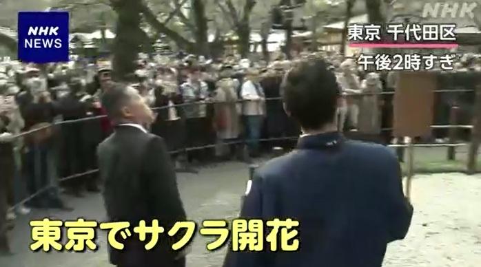 氣象人員周一下午到東京千代田區靖國神社的染井吉野櫻標準木視察。(互聯網)