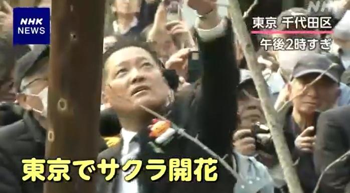 氣象人員周一下午到東京千代田區靖國神社的染井吉野櫻標準木視察。(互聯網)