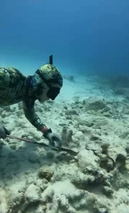 潛水客用棍戳進小洞。(互聯網)