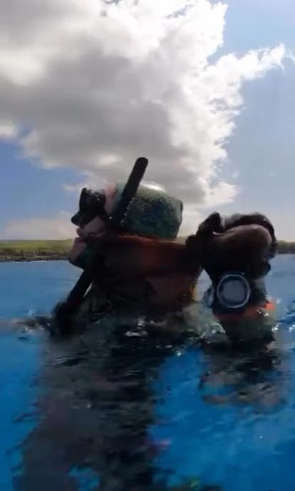 潛水客浮出水面,仍被八爪魚苦纏。(互聯網)