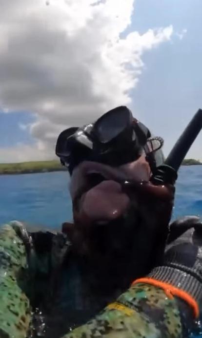 潛水客浮出水面,仍被八爪魚苦纏。(互聯網)