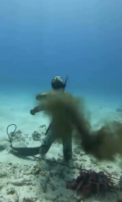 八爪魚噴墨還擊,又纏著潛水客。(互聯網)