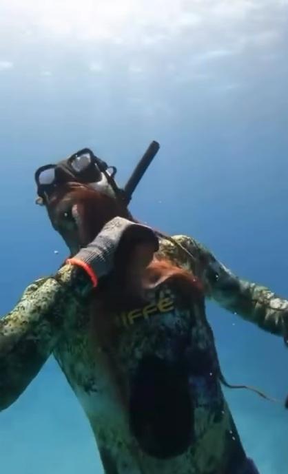 八爪魚纏著潛水客手臂和臉部,潛水客掙扎,游上水面。(互聯網)