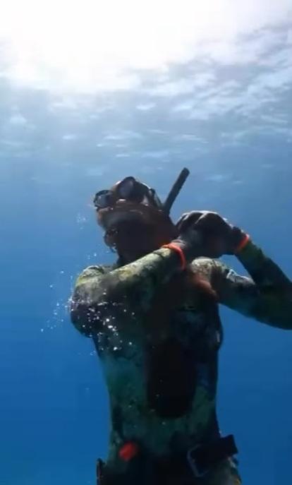 八爪魚纏著潛水客手臂和臉部,潛水客掙扎,游上水面。(互聯網)