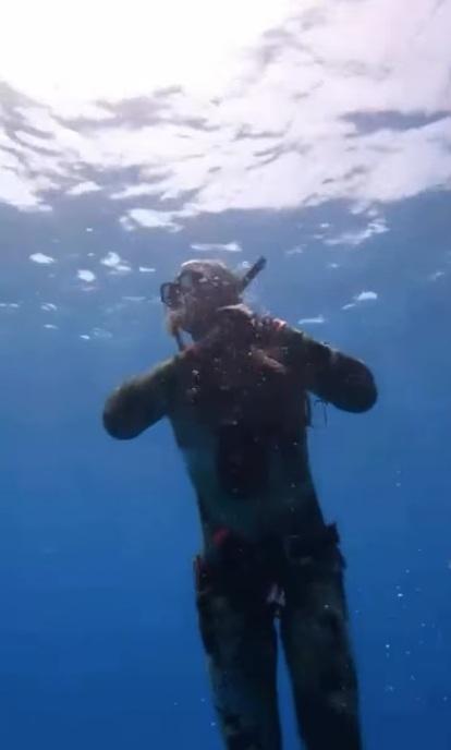 八爪魚纏著潛水客手臂和臉部,潛水客掙扎,游上水面。(互聯網)