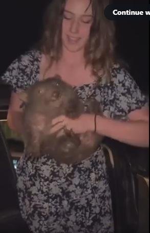 小熊被緊緊捉住,不停掙扎。(互聯網)