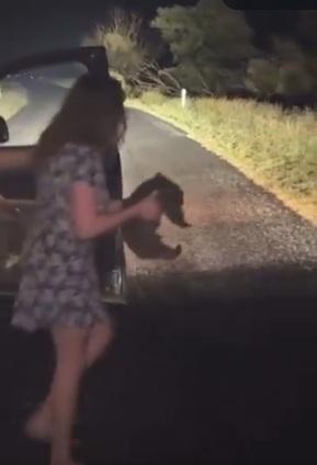 網紅見熊媽媽窮追, 才放過小熊,將牠抱回路邊。(互聯網)