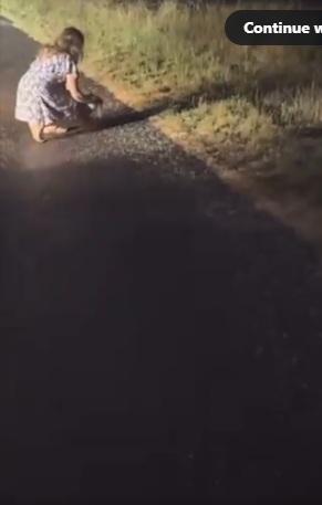 網紅見熊媽媽窮追, 才放過小熊,將牠抱回路邊。(互聯網)