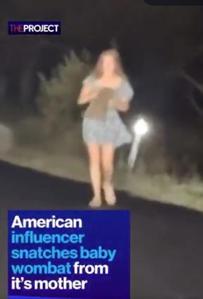 網紅抱走小袋熊。(互聯網)