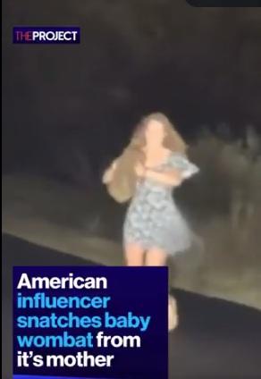 網紅抱走小袋熊。(互聯網)