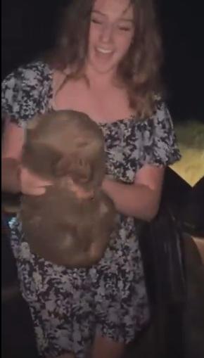 網紅對著鏡頭炫耀小熊。(互聯網)