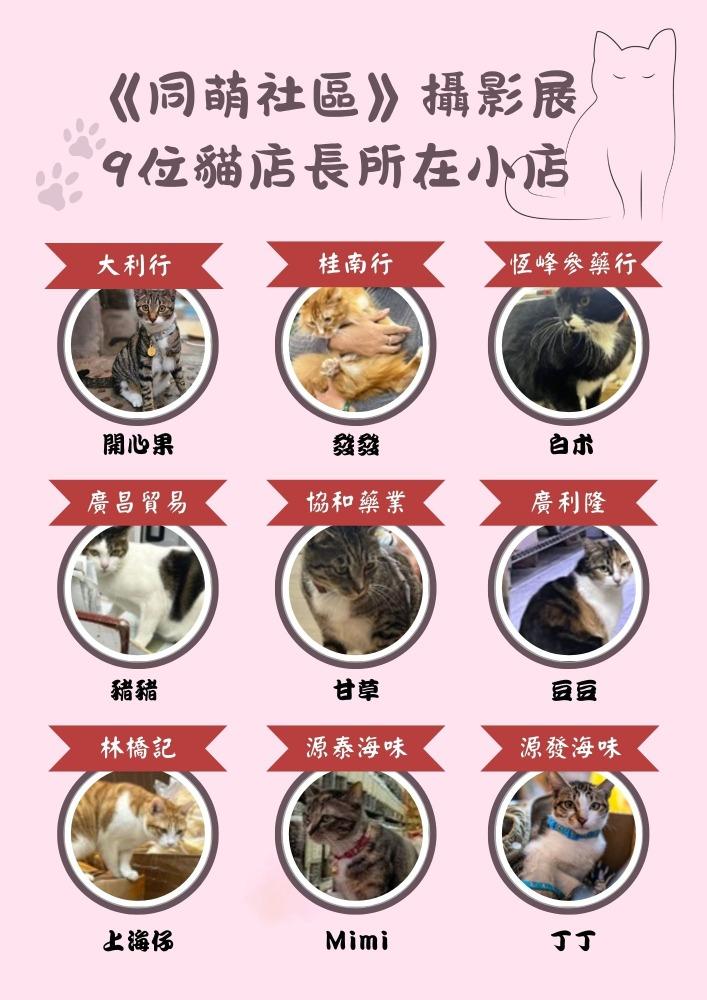《同萌社區》攝影展9位貓店長所在小店。(當代中國製圖)