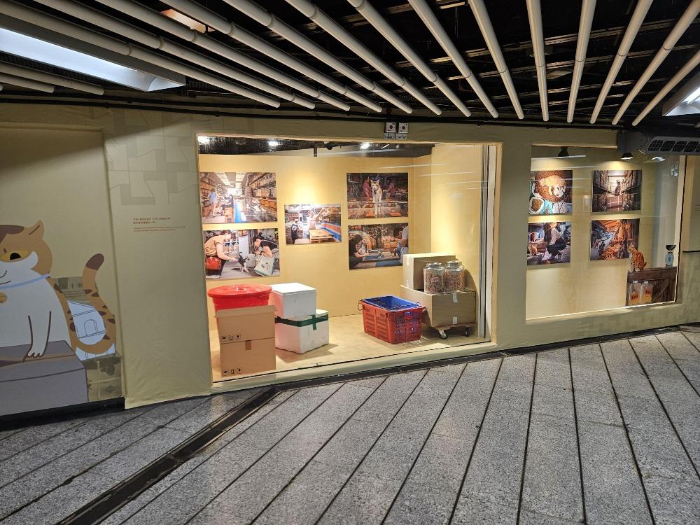 《同萌社區 THE COMMEOWNITY》展覽分為4大主題,貓店長的身影遍布其中。(圖片來源:聞華、茉莉)