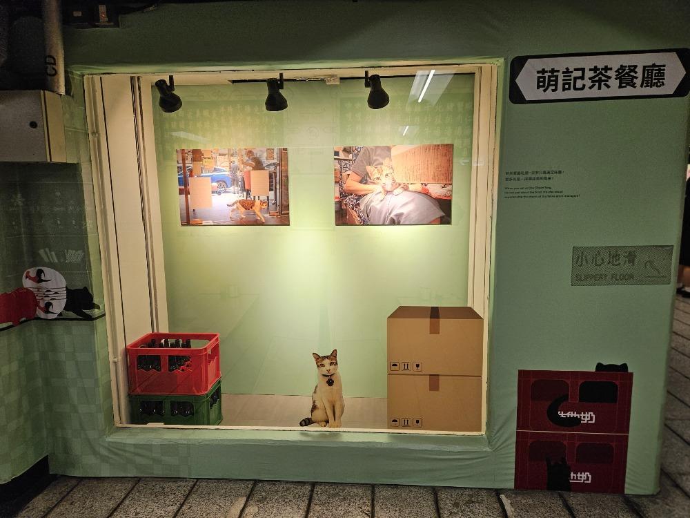 展覽中,除了欣賞貓店長的寫真照片,大家還能和旁邊的巨型貓咪壁畫打卡拍照。(圖片來源:聞華、茉莉)