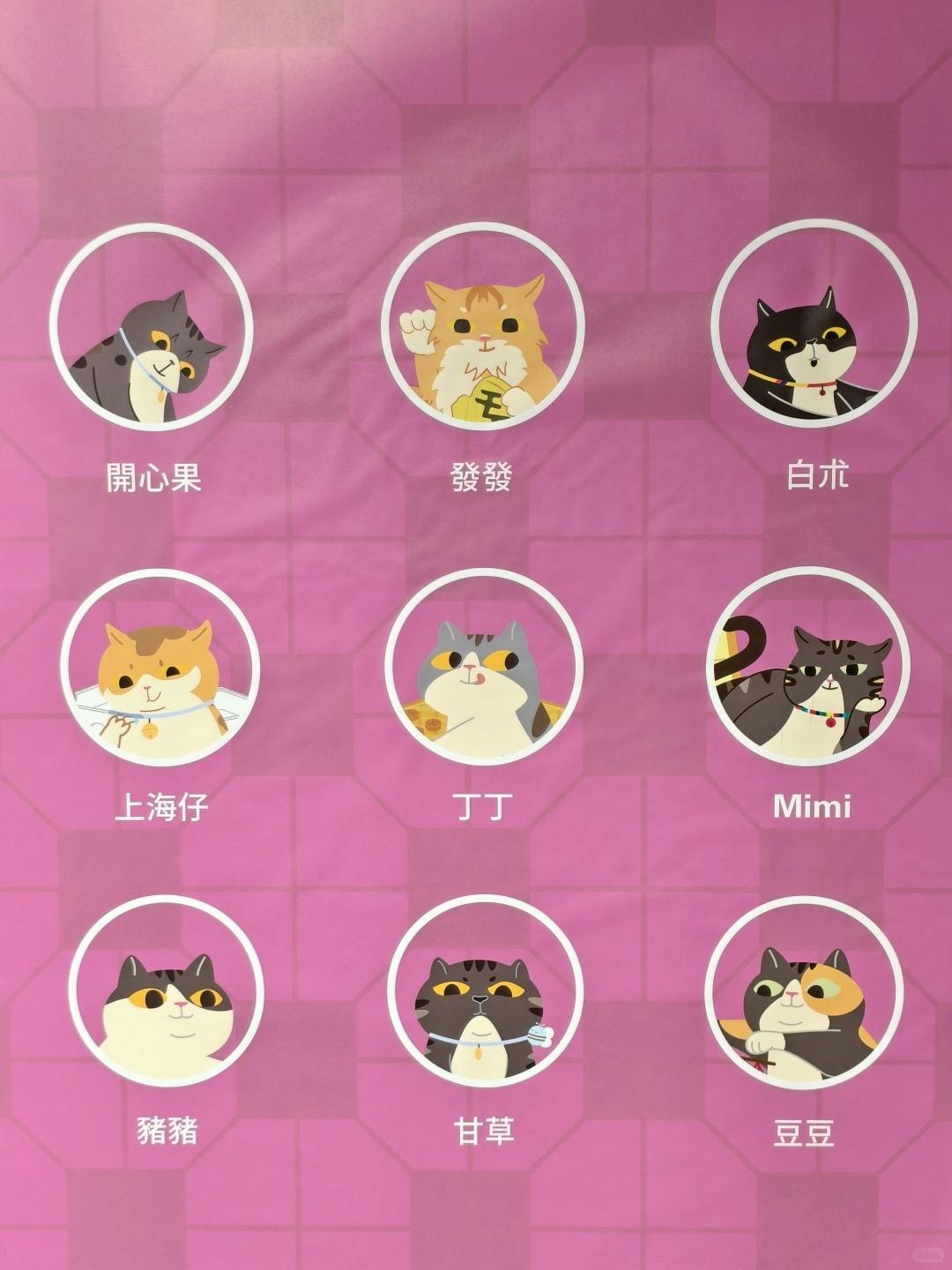 《同萌社區 THE COMMEOWNITY》貓店長·窩心攝影展中,登場的9位知名「店長」。(圖片來源:小紅書)