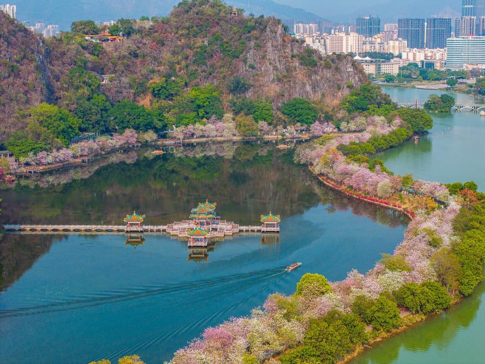 從高空向下看的七星岩花海長廊。(圖片來源:視覺中國)