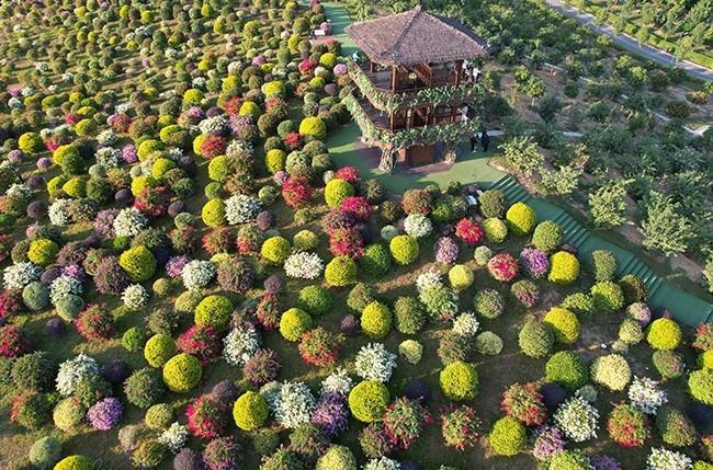 千花洲度假區毗鄰山清水秀的5A級景區惠州西湖,是集餐飲,住宿,遊玩,購物,娛樂為一體的大型旅遊度假綜合體。(圖片來源:千花洲官方小紅書) 千花洲有八大景點,圖中的是浪漫花境區,以種植簕杜鵑為主,五彩繽紛,站在觀景亭上能飽覽全境...(圖片來源:千花洲官方小紅書)