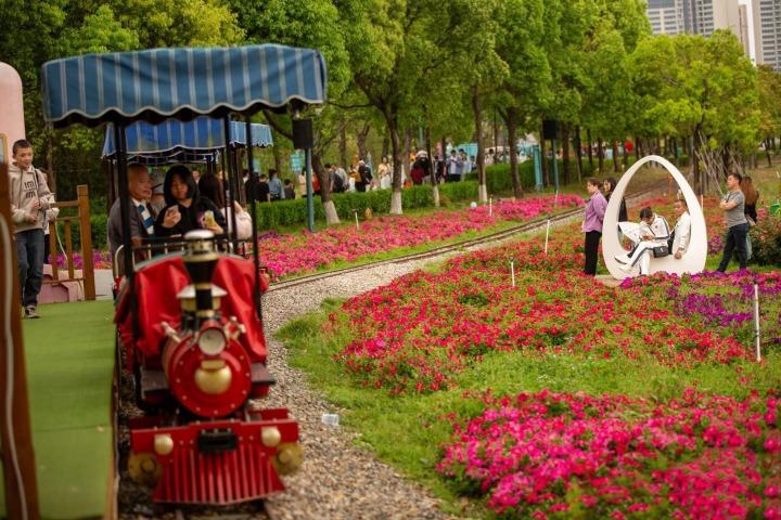 圖內有復古小火車,欣賞沿途花卉。(圖片來源:781135622@小紅書)