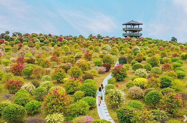 千花洲度假區毗鄰山清水秀的5A級景區惠州西湖,是集餐飲,住宿,遊玩,購物,娛樂為一體的大型旅遊度假綜合體。(圖片來源:千花洲官方小紅書)