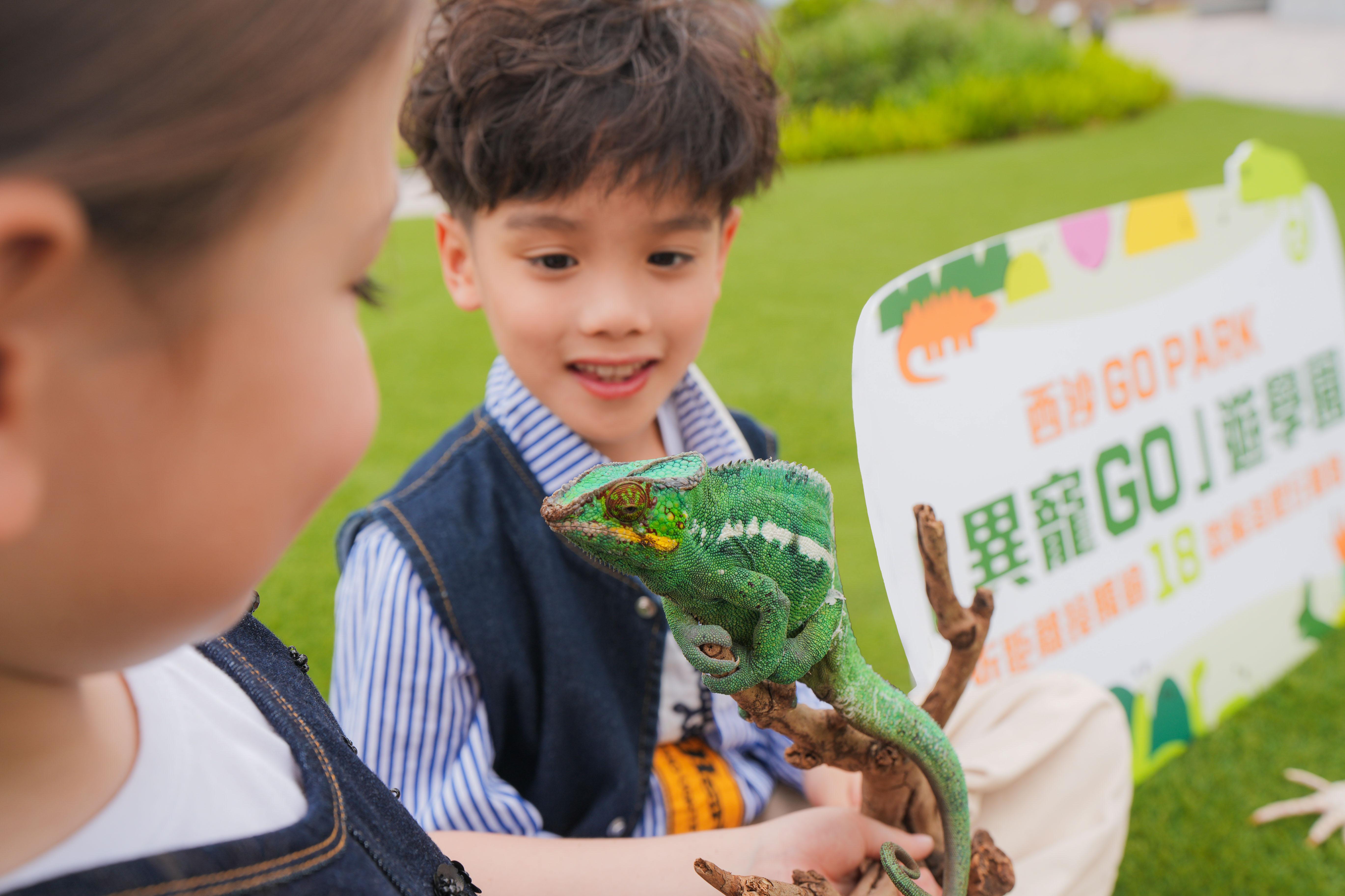 異寵GO遊學園